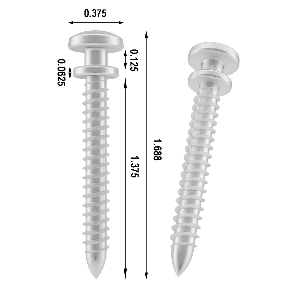 screw,screws,mounting screw